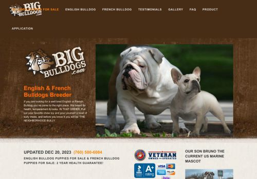 Bigbulldogs.com inc