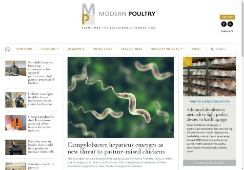 Modern Poultry